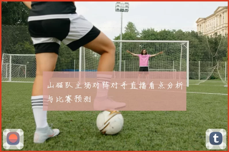 山猫队主场对阵对手直播看点分析与比赛预测