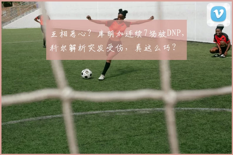 互相恶心？库明加连续7场被DNP，科尔解析突发受伤，真这么巧？